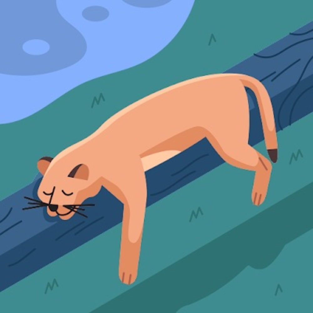 Meet your Posher, Pat